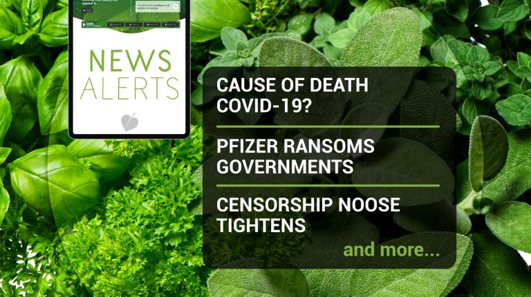 News Alerts: Week 09, 2021_669b6d32c08f5.jpeg