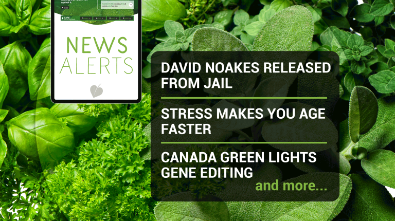 News roundup (week 50/2021)_669b69be00ee7.png