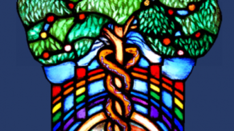 Our health predicament: How do we know what works and what doesn’t?_669bba9ebbd89.png