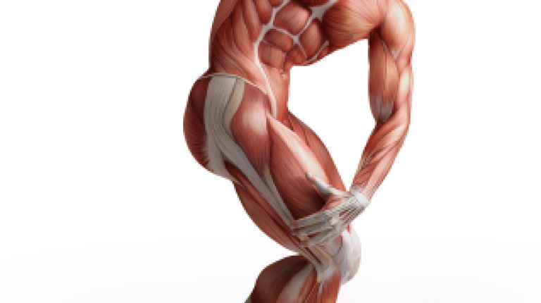 Pharma giant GSK muscles in on UK sports science teaching_669bcf3f360f5.jpeg
