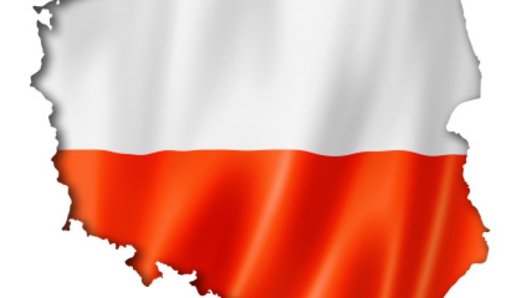 Poland’s farmers locked in David and Goliath battle_669bbfb196709.jpeg