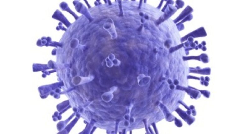 Risk from swine flu vaccine ‘greater than catching virus’_669bdac0b461e.jpeg