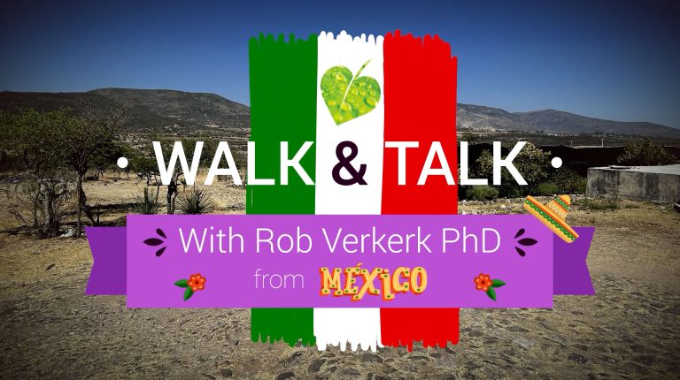 Rob Verkerk PhD’s Walk & Talk from Mexico_669b5ddae2801.jpeg