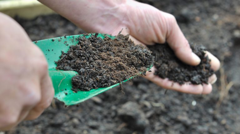 S.O.S. — Save Our Soils_669bbc6bc759c.jpeg
