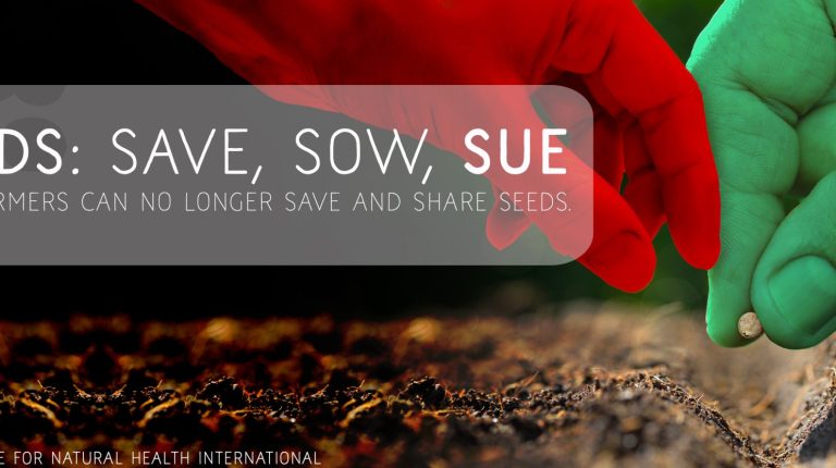 Seeds: Save, Sow, Sue_669bb4648f442.jpeg