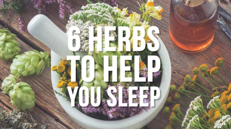 Six botanicals to transform your sleep_669b92c395a92.jpeg