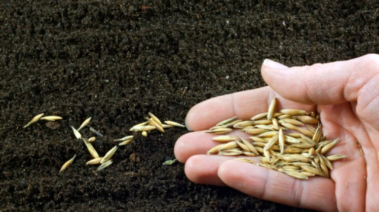 Sowing the seeds of control_669ba161ac7be.jpeg