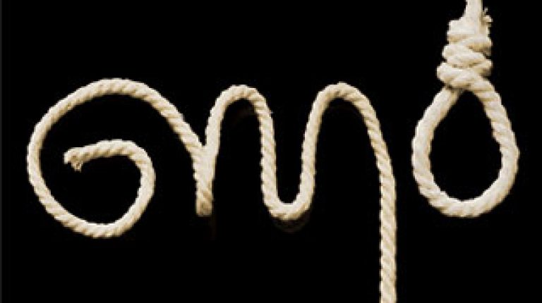 Spinning Seralini: why controversial GM study must not be ignored_669bce77509b8.jpeg