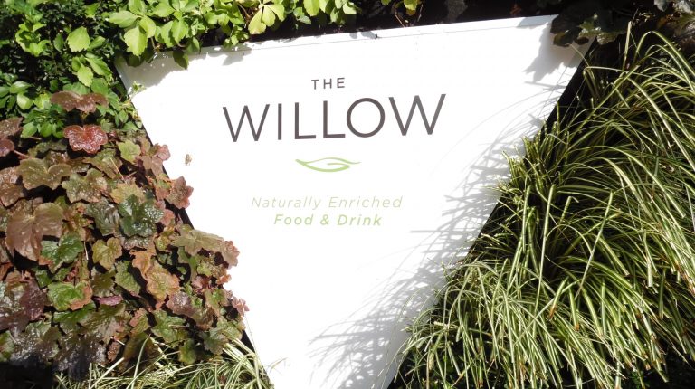 Taking a leaf out of The Willow_669bb89e00945.jpeg