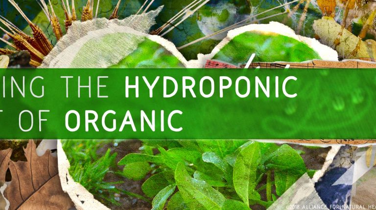 Taking the hydroponic out of organic_669bb12cba792.jpeg