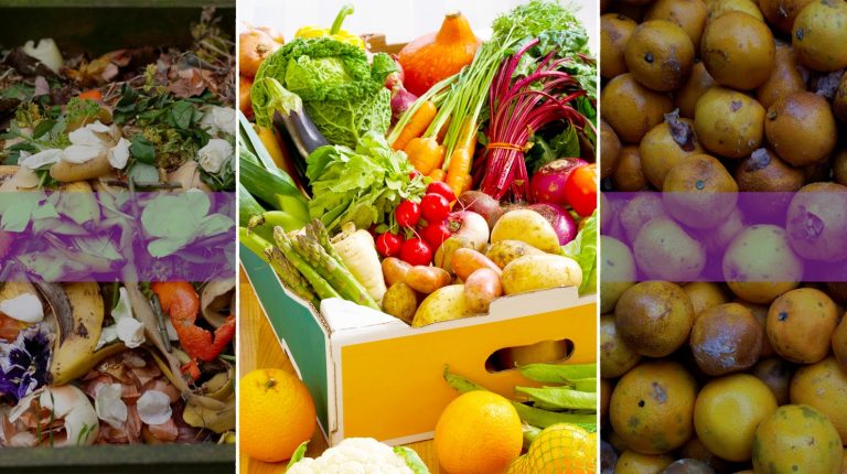 The economics of food waste and box schemes_669bb65e7ce80.jpeg