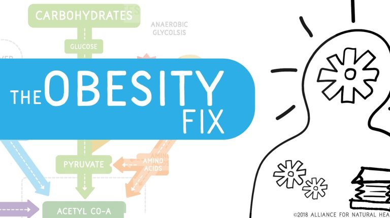 The Obesity Fix – Part 1_669bb1d894713.jpeg