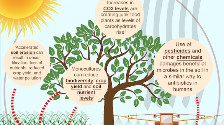 The soil of life – is in deep trouble_669ba1927b1c3.png
