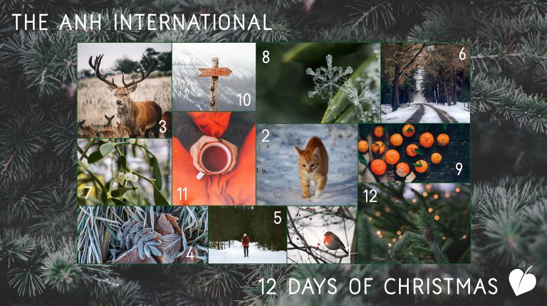 The Twelve Days Before Christmas – ANH style!_669b8bc1b5728.jpeg
