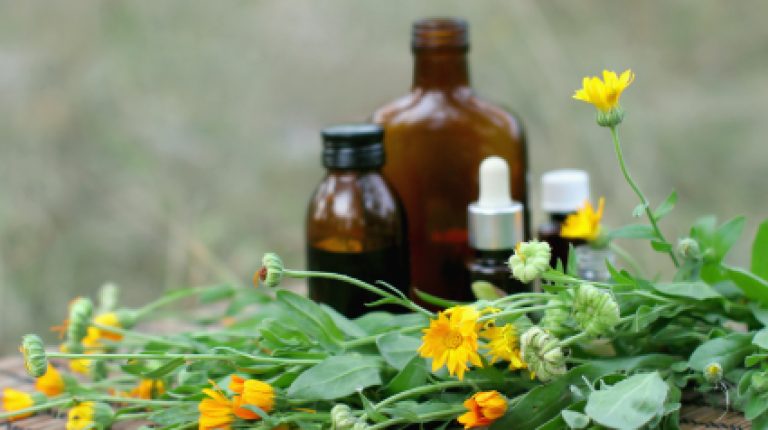 Traditional herbal medicines in the EU: an update_669bd8eac9ad7.jpeg