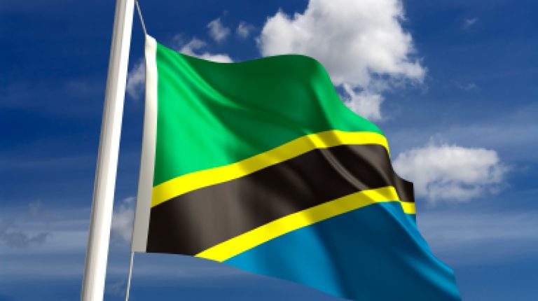 Traditional medicine offers a “revolution” in Tanzanian healthcare_669bd2d888268.jpeg