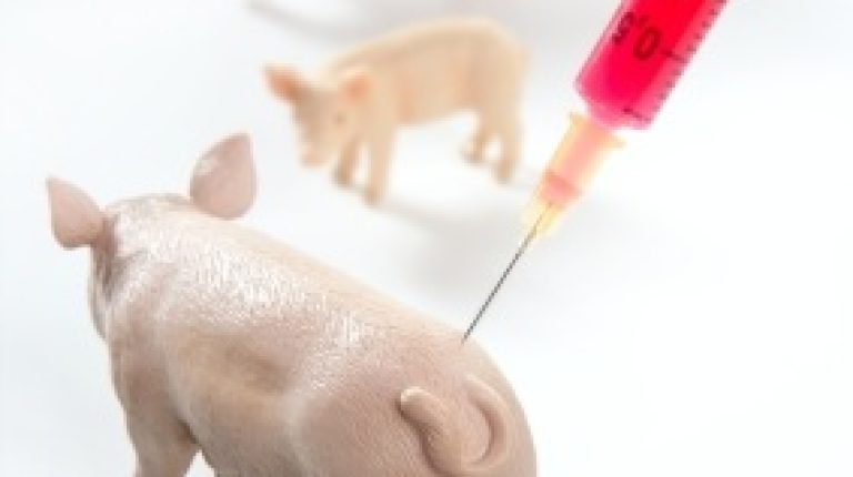 UK Doctors to earn bonuses linked to uptake of swine flu jabs_669bda05825d9.jpeg