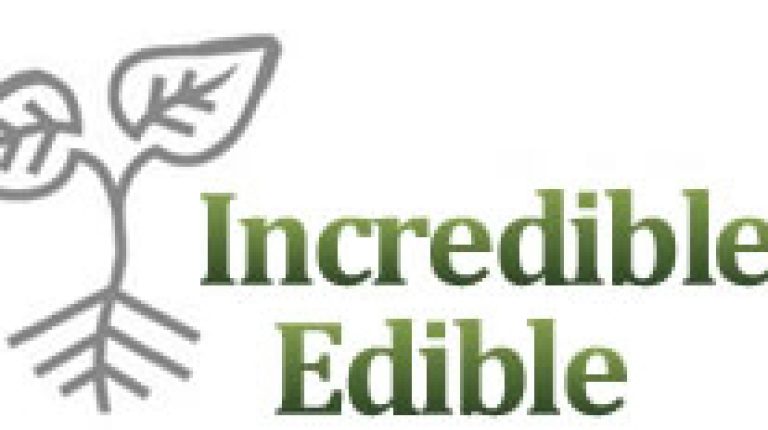 Want healthier food on a budget? Try ‘eating the landscape’!_669bce061a439.jpeg