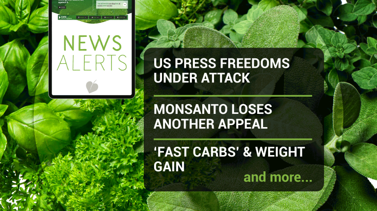 Weekly news update (week 33, 2021)_669b6b17ac87c.png