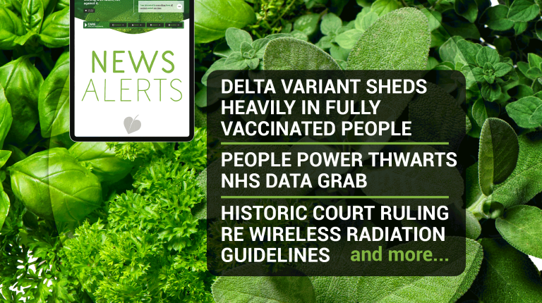 Weekly news update (week 34, 2021)_669b6af9de2ec.png