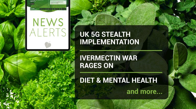 Weekly news update (week 37, 2021)_669b6acdcf3a9.png