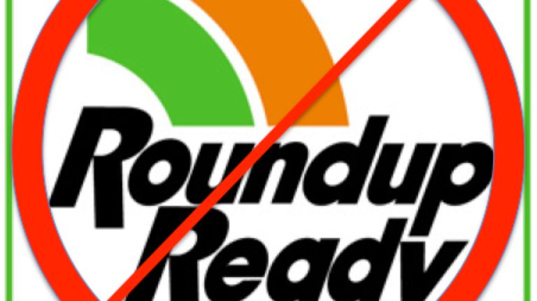 Which foods are most likely to be contaminated by glyphosate?_669bbe215b30e.jpeg