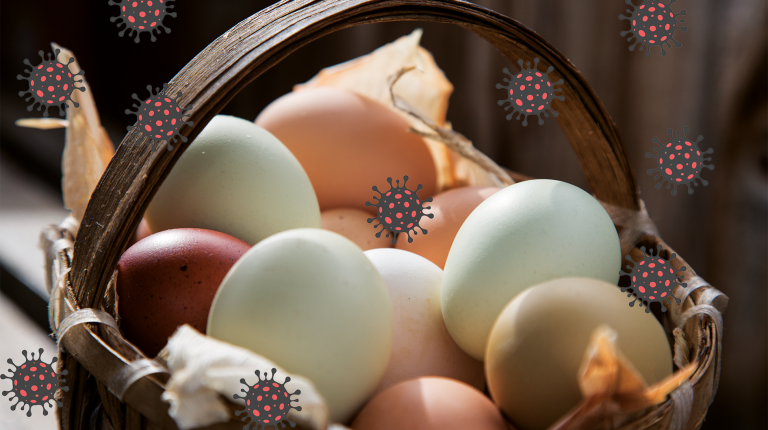 Why we need more eggs in the covid basket_669b6ccca5b2f.png