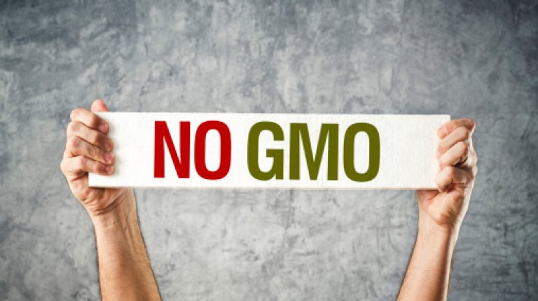 Why won’t Europeans swallow GMOs?_669bc039c2df8.jpeg