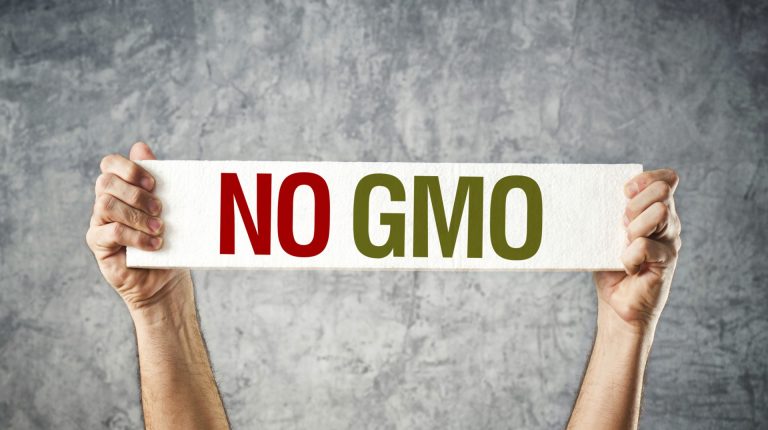 Will Europeans continue to resist the global GMO crop agenda?_669bbd1e6549e.jpeg