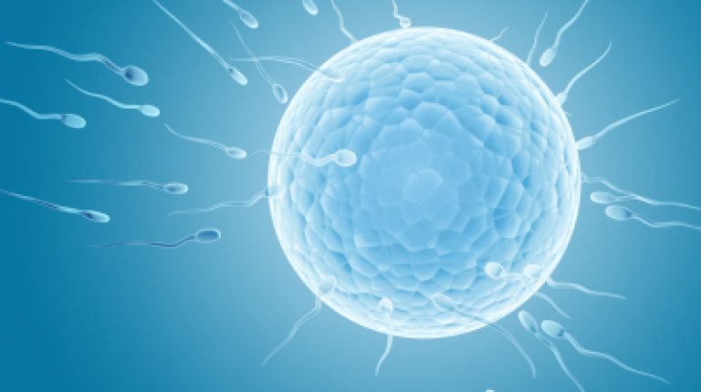 World Health Organization confirms fertility threat from endocrine disruptors_669bcd3c28f56.jpeg