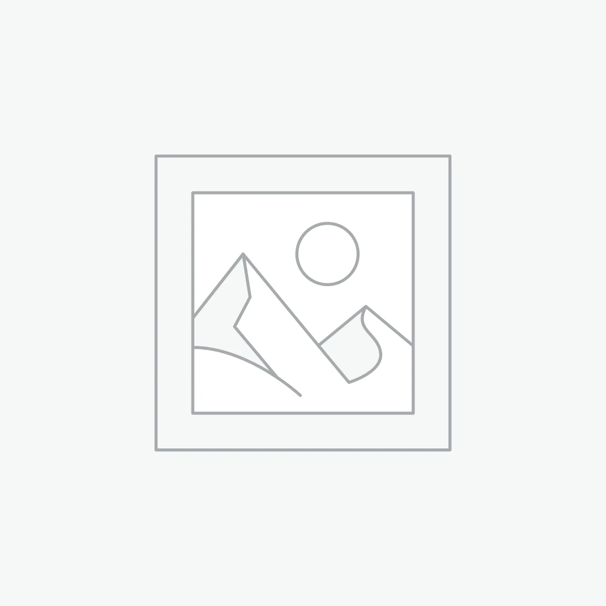 Professional Support